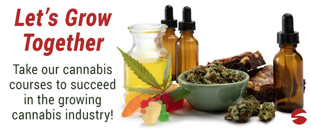 Cannabis Banner